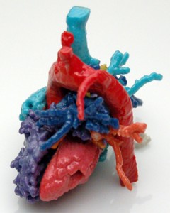 3d  printed heart