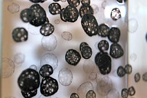 The nano particles housed in clear plastic are clearly visible