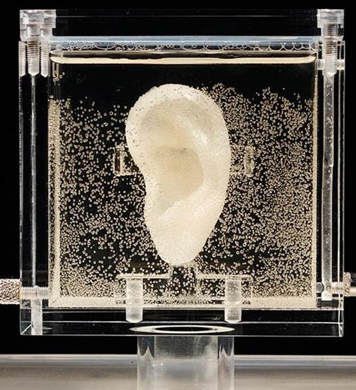 The 3D printed ear of Vincent van Gogh