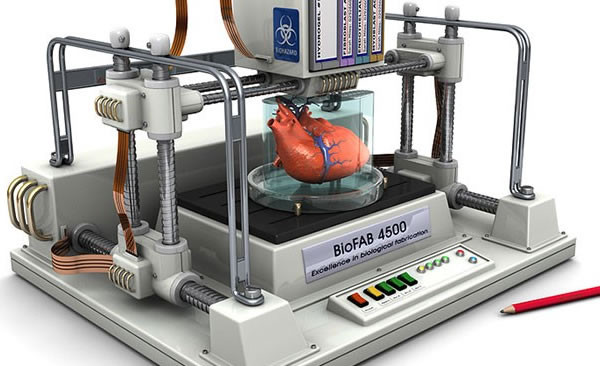 What a 3D printed heart might look like