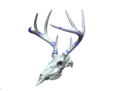 3D Scanning to Measure Deer Antlers